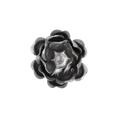 R¨že H 29 x L 53 mm, tl. 0,5 mm - slide 1